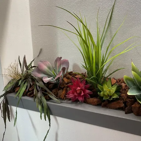 招待所 Queen Room In Pieno Centro- Confort,Relax E Privacy