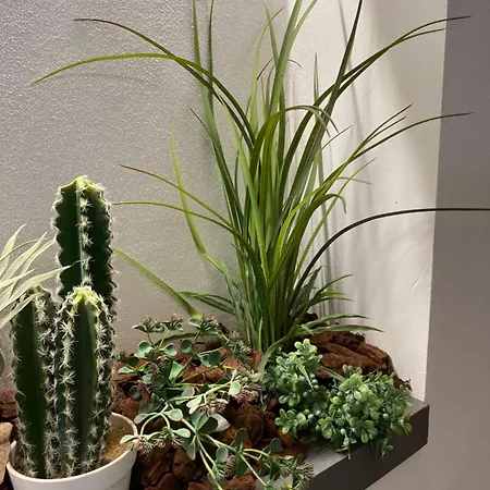 Queen In Pieno Centro- Confort,relax E Privacy Konukevi