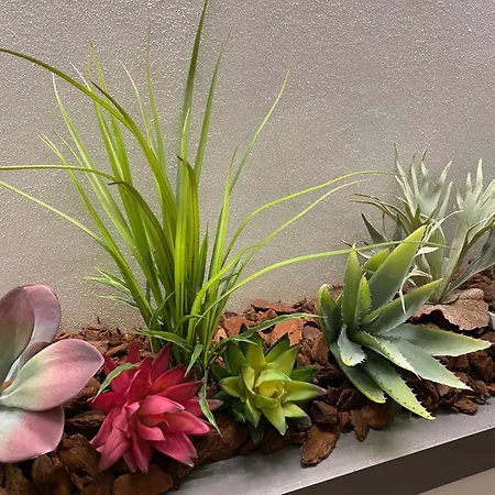 Queen In Pieno Centro- Confort,relax E Privacy Konukevi 3*