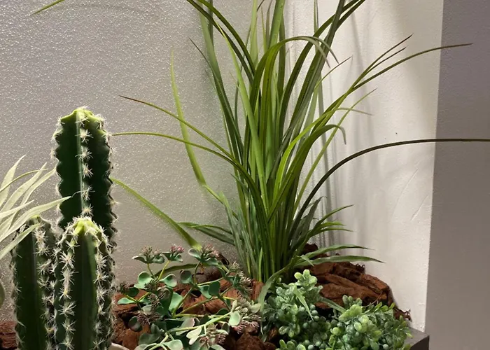 Queen In Pieno Centro- Confort,relax E Privacy Gasthof