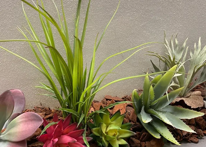 Queen In Pieno Centro- Confort,relax E Privacy Maison d'hôtes 3*